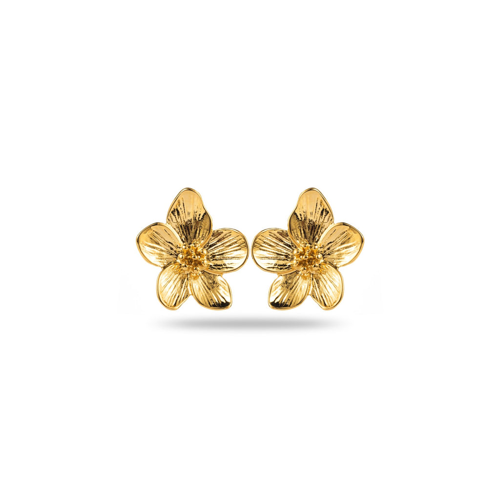Boucle d’Oreille Olbia