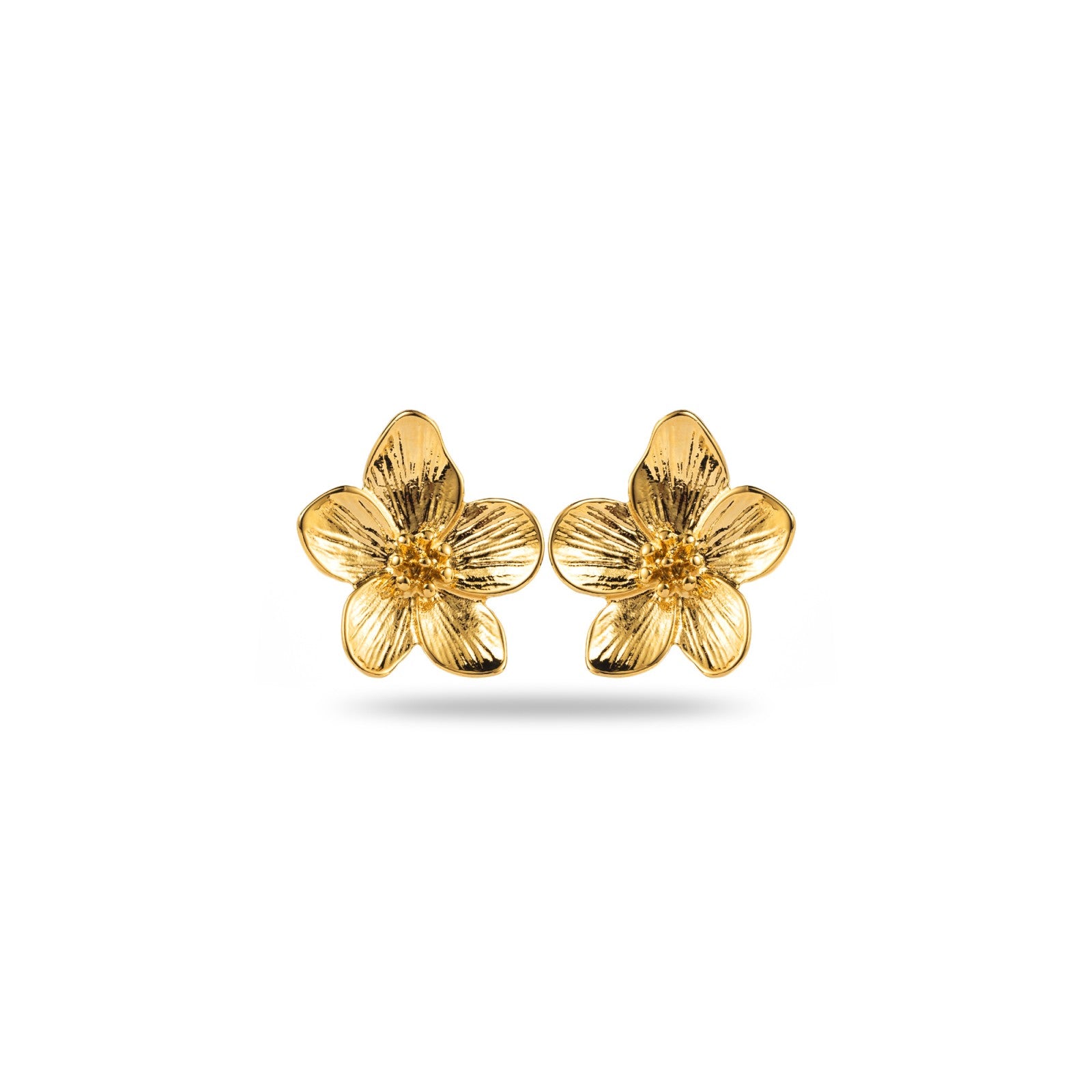 Boucle d’Oreille Olbia